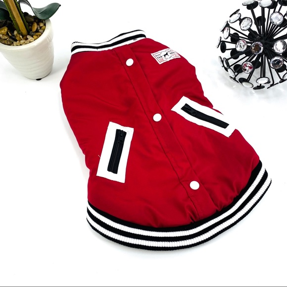 Other - Dog Varsity Jacket